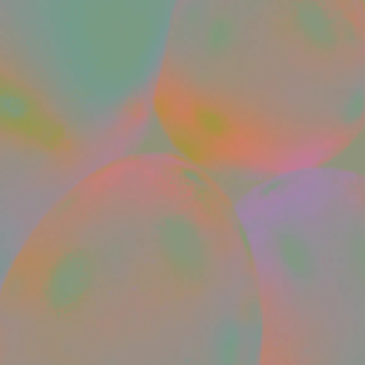 Claim Auditor visualization showing rule-based review